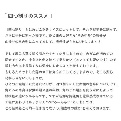 エゾ鹿の角ガム 12cm 小型犬用 四つ割り 4個 北海道産 犬用ガム F5F-0069