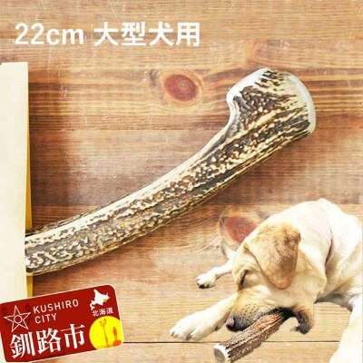 エゾ鹿の角ガム 22cm 大型犬用 北海道産 犬用ガム ペット おやつ F5F-0066