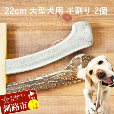 エゾ鹿の角ガム 22cm 大型犬用 半割り 2個 北海道産 犬用ガム F5F-0065