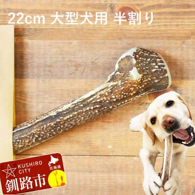 エゾ鹿の角ガム 22cm 大型犬用 半割り 北海道産 犬用ガム ペット おやつ F5F-0064