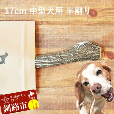 エゾ鹿の角ガム 17cm 中型犬用 半割り 北海道産 犬用ガム ペット おやつ F5F-0060
