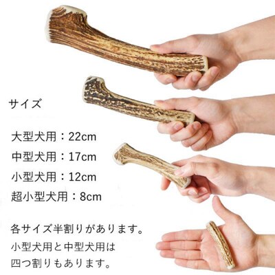 エゾ鹿の角ガム 12cm 小型犬用 北海道産 犬用ガム ペット おやつ F5F-0058