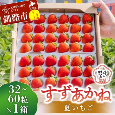 <無地熨斗あり>【2026年6月末から順次発送】すずあかね 32～60粒×1箱 F5F-0197