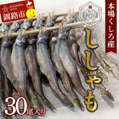 本場くしろ産 ししゃもメス30尾入り! 本ししゃも 魚 ししゃも 魚好きのメス F5F-0136