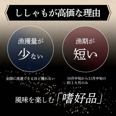 本場くしろ産 ししゃもメス50尾入り! 本ししゃも 魚 ししゃも 魚好きのメス F5F-0138