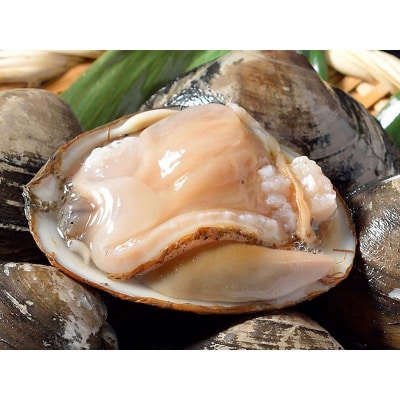 [船上]剥きほっき(刺身用)1.5kg(10玉前後)×3袋 ほっき ほっき貝 F5F-0251