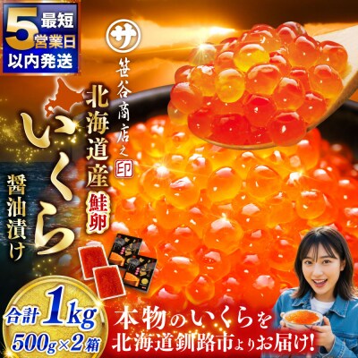 【5営業日以内発送】いくら 500g×2箱