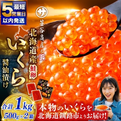 【5営業日以内発送】いくら 500g×2箱