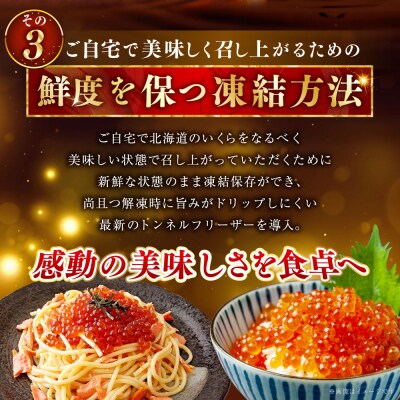 【5営業日以内発送】いくら 500g×2箱