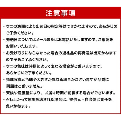 【 特選 】 塩水ウニ 100g ( 北海道産 エゾムラサキウニ )