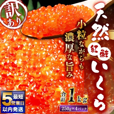 【 2026年6月発送 】 紅鮭いくら醤油漬け 1kg ( 250g × 4 ) 