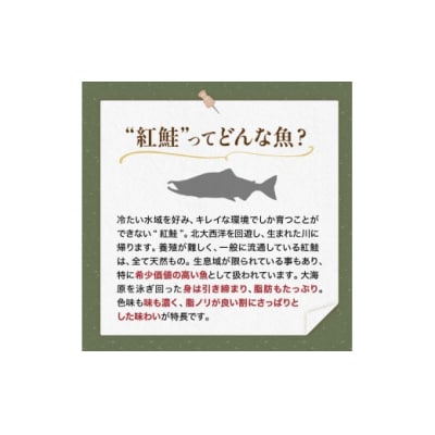 【 訳あり 】 天然紅鮭切落し 500g × 2袋 1kg 