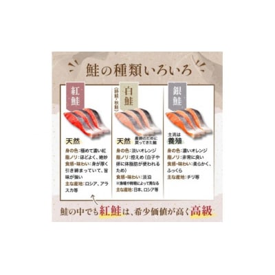 【 訳あり 】 天然紅鮭切落し 500g × 3袋 1.5kg 