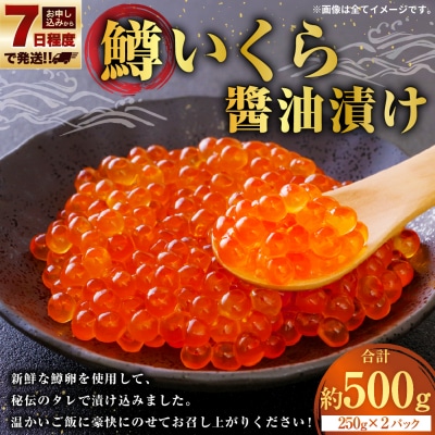 【7日程度で発送】鱒いくら醬油漬け 250g×2 計500g