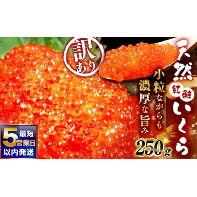 8月発送 紅鮭いくら醤油漬け 250g 