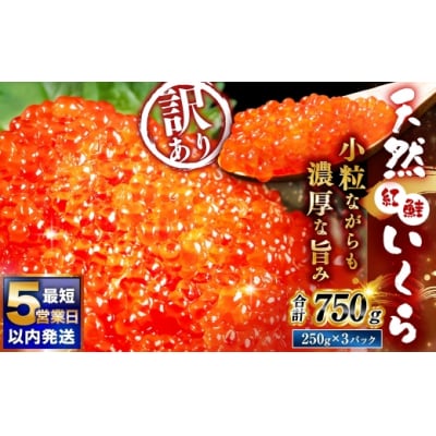 【 2026年8月発送 】 紅鮭いくら醤油漬け 750g ( 250g × 3 )