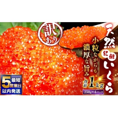【 2026年8月発送 】 紅鮭いくら醤油漬け 1kg ( 250g × 4 ) 