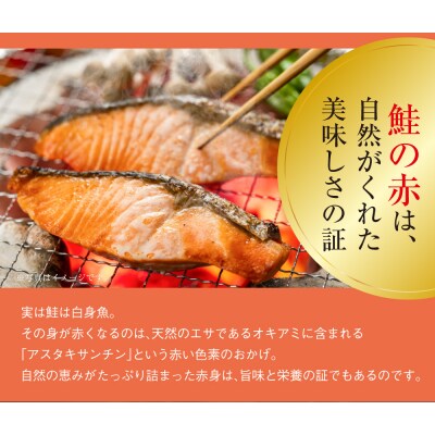 【最短3営業日以内発送】訳あり 紅鮭 約2kg