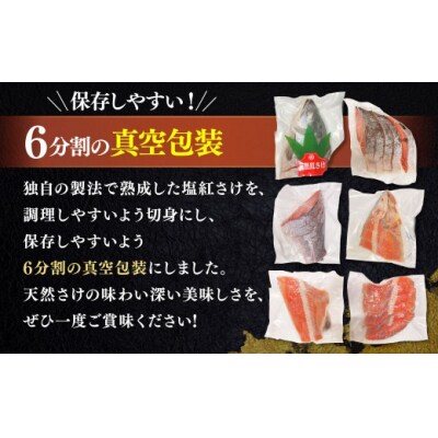 7月発送 紅さけ姿造り 塩 