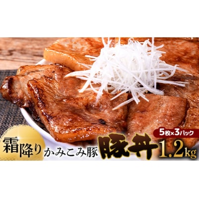 9月発送 かみこみ豚の豚丼 80g×5枚×3パック 計15枚 合計 1.2kg  F4F-2307