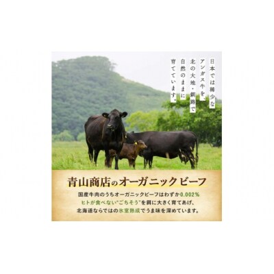 7月発送 釧路生まれ、釧路育ちのオーガニックビーフ 生ハンバーグ120g×4枚 F4F-3380