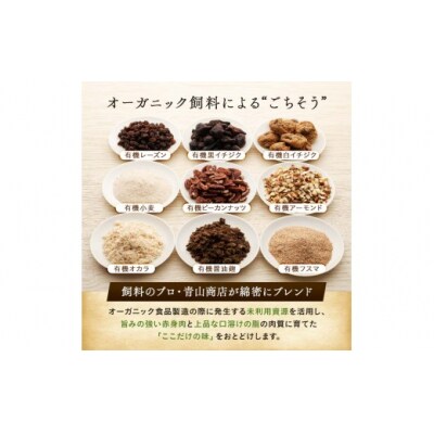 9月発送 釧路生まれ、釧路育ちのオーガニックビーフ 生ハンバーグ120g×4枚 ふるさと納税 肉