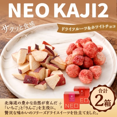 【 14営業日以内に発送 】 NEO KAJI2 ドライフルーツ × ホワイトチョコ各1箱
