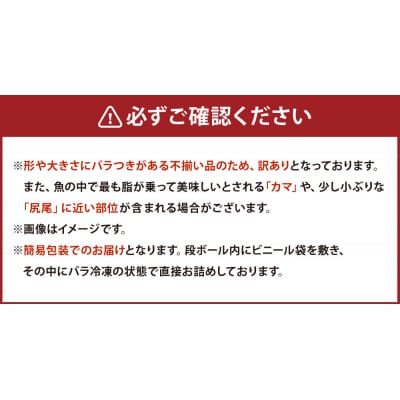 【 訳あり 】 プレミアム1級品 厚切り塩銀鮭 切り身 1kg