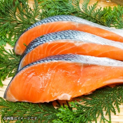 【 訳あり 】 プレミアム1級品 厚切り塩銀鮭 切り身 1.5kg