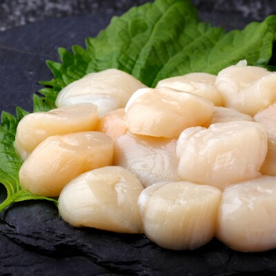 【 訳あり 】 北海道産 ホタテ貝柱 冷凍 500g × 2