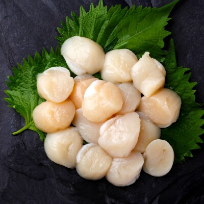 【 訳あり 】 北海道産 ホタテ貝柱 冷凍 500g × 2