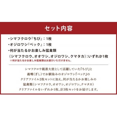 【 7日程度で発送 】 猛禽類医学研究所オリジナルクリアファイル 3種セット
