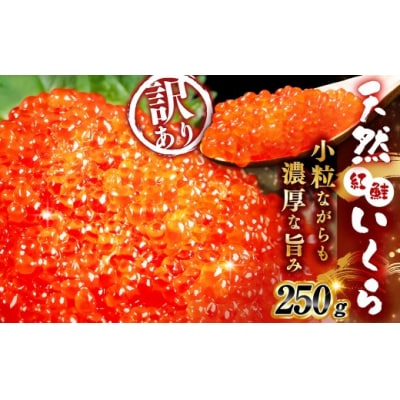天然紅鮭いくら醤油漬け 250g 【2026年11月以降順次発送】