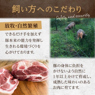 【12ケ月定期便】北海道釧路市産チョコレートポーク【放牧豚】