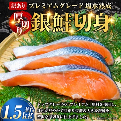 【 訳あり 】 プレミアムグレード 塩水熟成 厚切り 銀鮭切身 約1.5kg