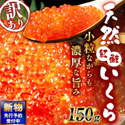 【 先行予約 】 新物 天然紅鮭いくら 醤油漬け 150g【 2026年11月以降順次発送 】