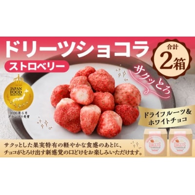 【 14営業日以内に発送 】 ドリーツショコラ ストロベリー 2箱