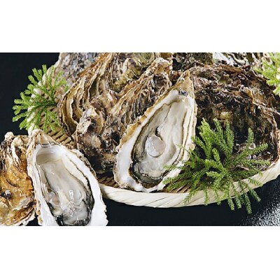  釧路管内産 【 活 】 牡蠣 ( 大 ) 10個 ( 1個あたり約140～190g )
