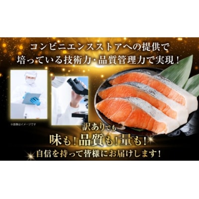 【 訳あり 】 プレミアムグレード 塩水熟成 厚切り 銀鮭切身 約1kg 【2026年10月発送】