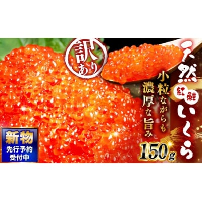 【 2026年12月発送 】新物 天然紅鮭いくら 醤油漬け 150g
