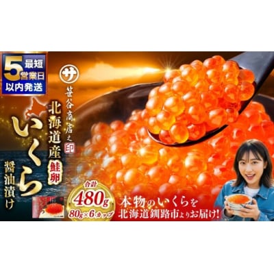 【2026年11月発送】 北海道産 いくら 醤油漬け 80g×6カップ 計480g
