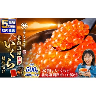 北海道産 いくら 醤油漬け 500g×1箱 【2026年11月発送】