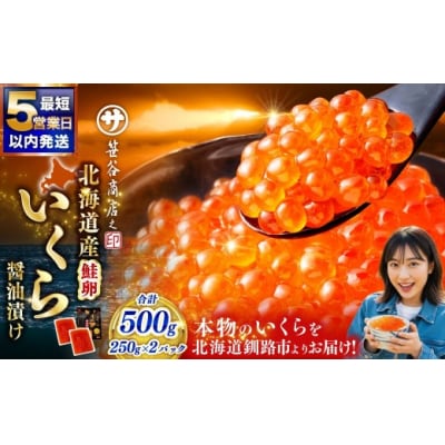 北海道産 いくら 醤油漬け 500g(250g×2パック入り)【2026年12月発送】　