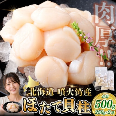【 14営業日以内発送 】 北海道産 ホタテ 貝柱 500g 