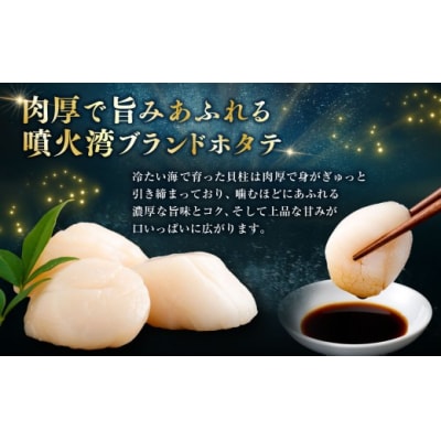 【 14営業日以内発送 】 北海道産 ホタテ 貝柱 500g 