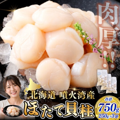 【 14営業日以内発送 】 北海道産 ホタテ 貝柱 750g 