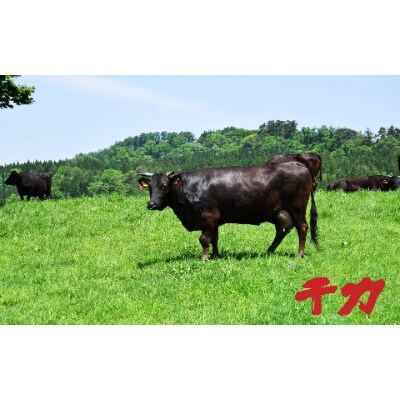 三重県産　松阪牛切り落とし肉500g