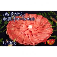 松阪牛ロースセット1.2kg