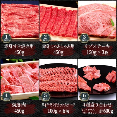 【毎月定期便】松阪牛定期便 毎月贅沢コース全12回