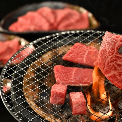 松阪牛焼肉用(肩・モモ・バラ)200g